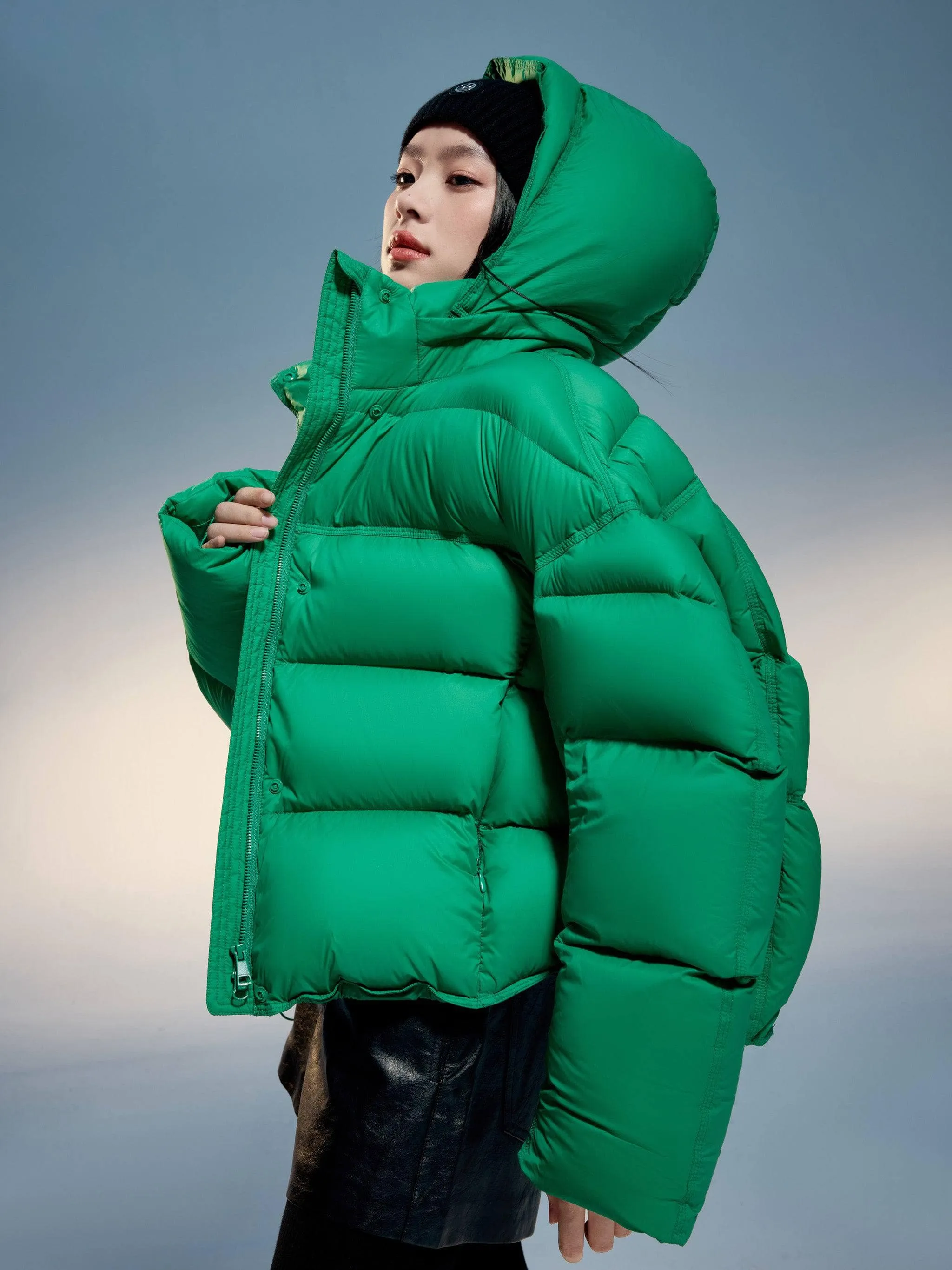 Adjustable Puffer With Detachable Hood