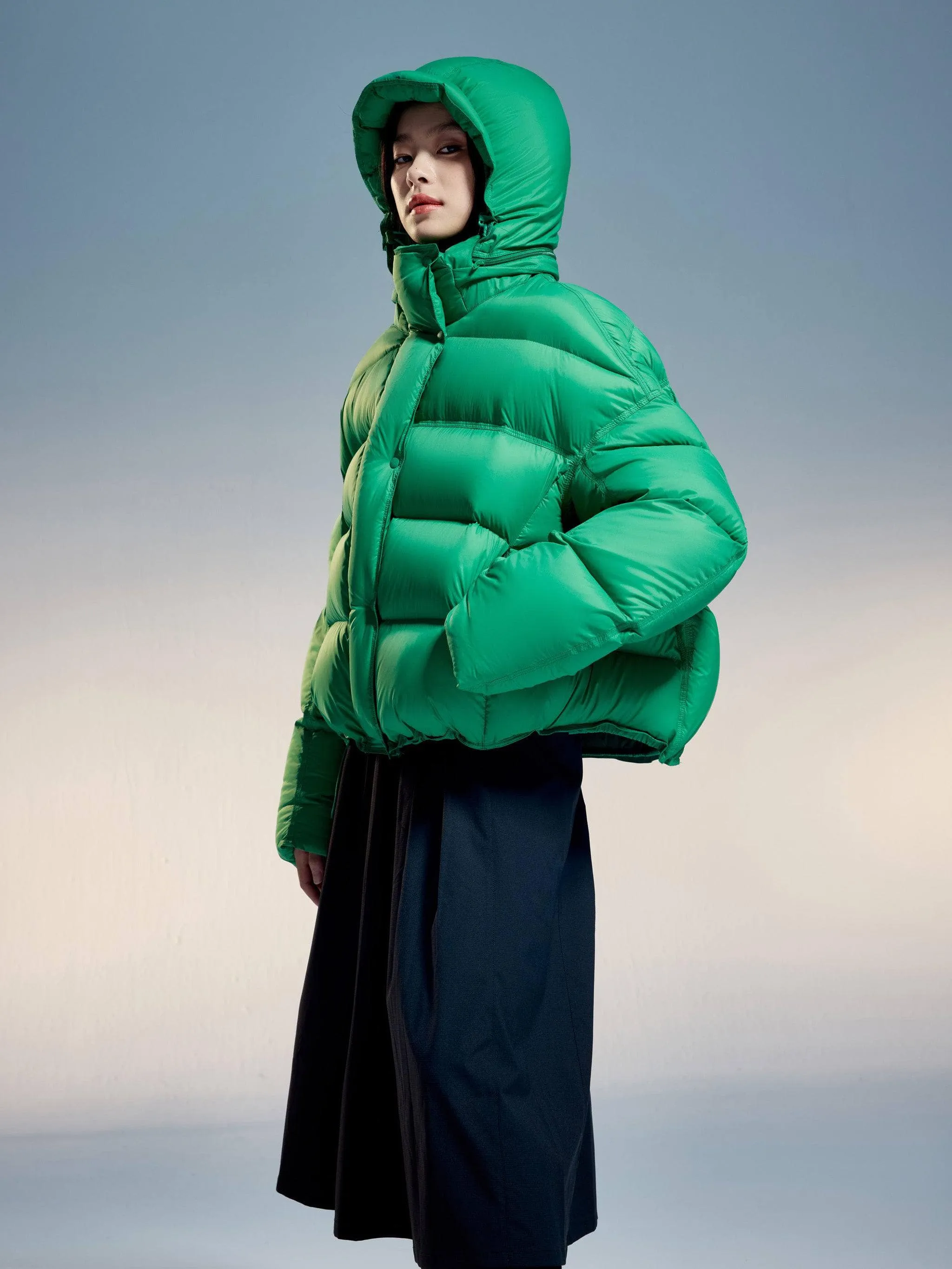 Adjustable Puffer With Detachable Hood