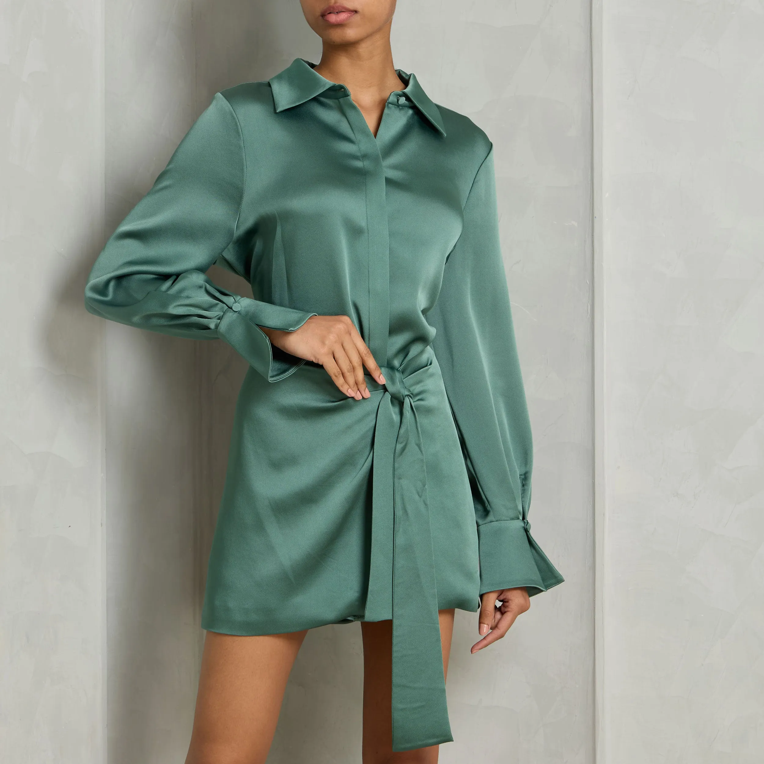 Larson Mini Dress